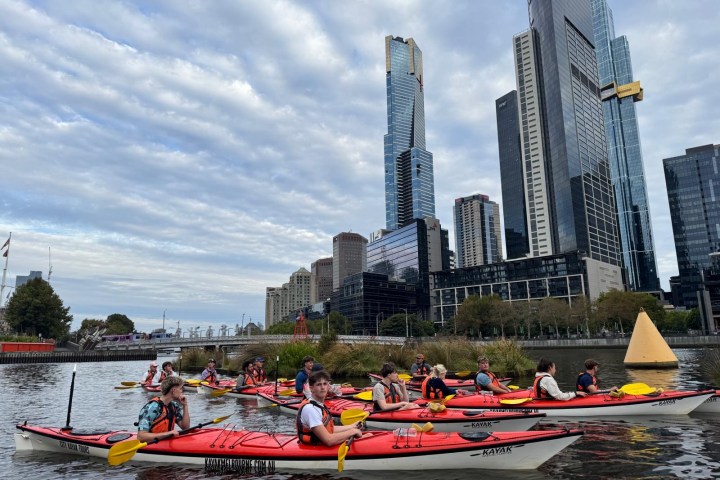 Group of kayakers in a river with city skyscrapers in the background.