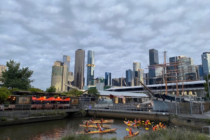 Kayakers on a river with city skyscrapers and a ship in the background.