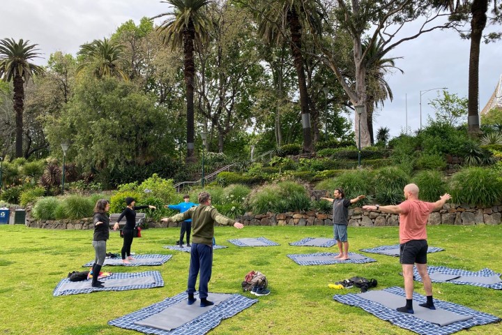 People doing yoga on mats in a park with trees around.