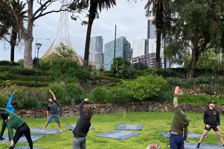 People doing yoga on mats in a park with trees and buildings in the background.
