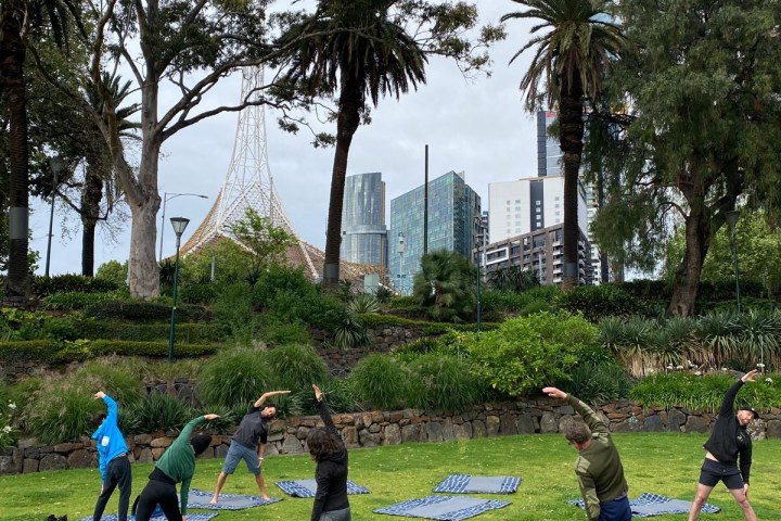 People practicing yoga on mats in a park with cityscape background.