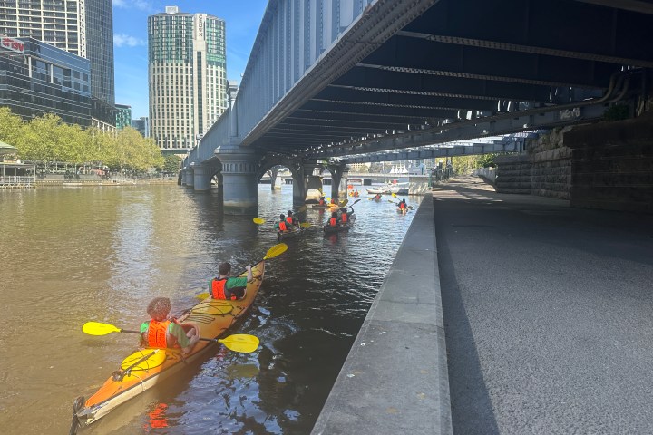 Kayakers paddle under a city bridge on a river, wearing life jackets.
