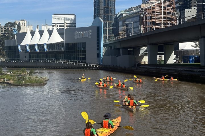 People in kayaks paddling on a river with city buildings in the background.