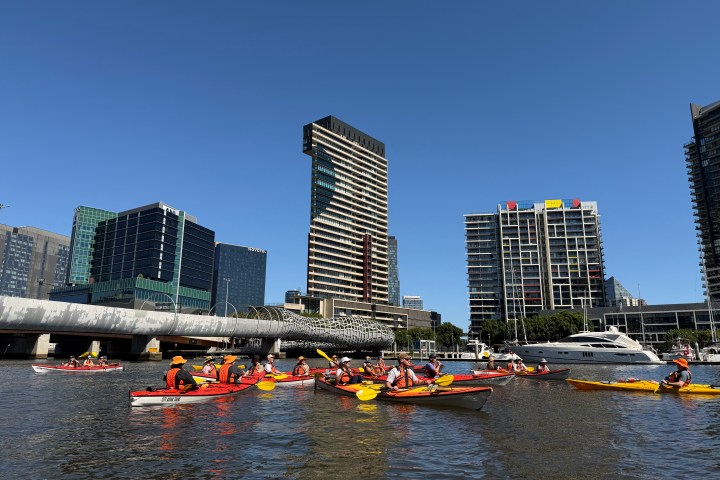 Group kayaking on city river with skyscrapers under clear blue sky.