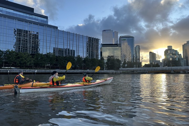 Three kayakers on a river near modern skyscrapers at sunset.