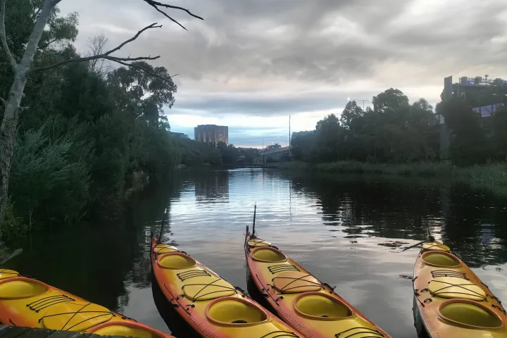 Four kayaks on a calm river under a cloudy sky.